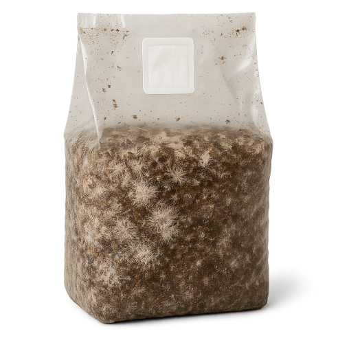 Myco Grow Bag by Mycotek "Timbit" – Size M  - 1