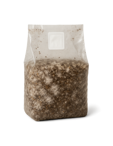 Myco Grow Bag by Mycotek "Tidal Wave Ape" – Size M Mycotek - 1