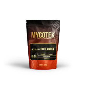 Funghi Allucinogeni - Psilocybe HOLLANDIA - Mycotek Mycotek - 1