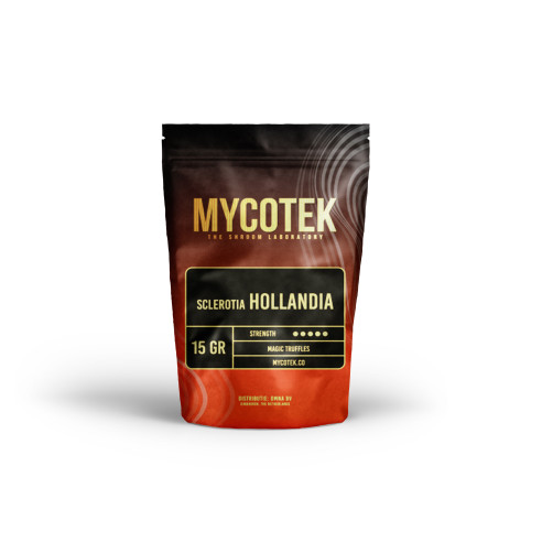 Magic Truffles - Psilocybe HOLLANDIA - Mycotek Mycotek - 1