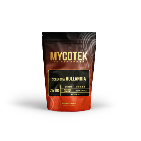 Funghi Allucinogeni - Psilocybe HOLLANDIA - Mycotek Mycotek - 2