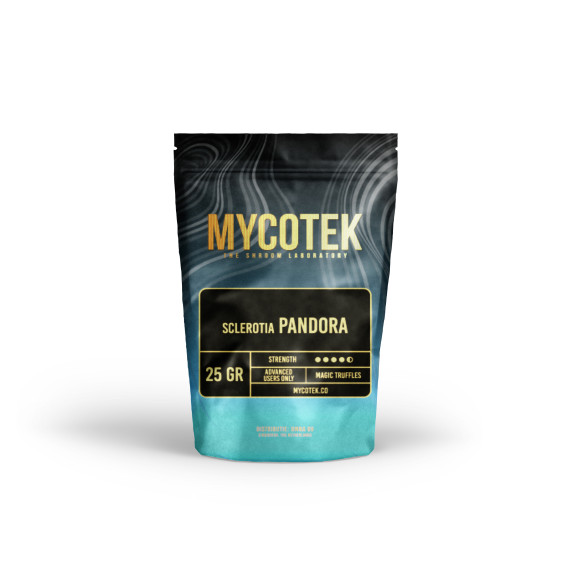 Champignon Magique - Psilocybe PANDORA - Mycotek Mycotek - 2
