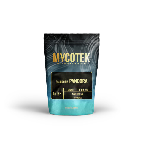 Funghi Allucinogeni - Psilocybe PANDORA - Mycotek Mycotek - 1