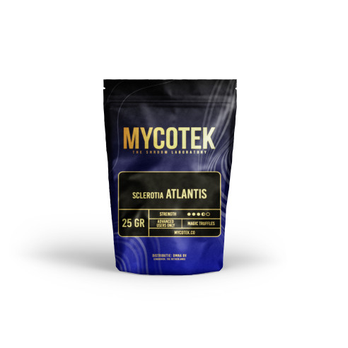 Magic Truffles - Psilocybe ATLANTIS - Mycotek Mycotek - 1
