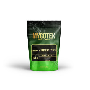 Funghi Allucinogeni - Psilocybe TAMPANENSIS - Mycotek Mycotek - 1