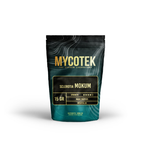 Trufas Mágicas - Psilocybe MOKUM - Mycotek Mycotek - 1
