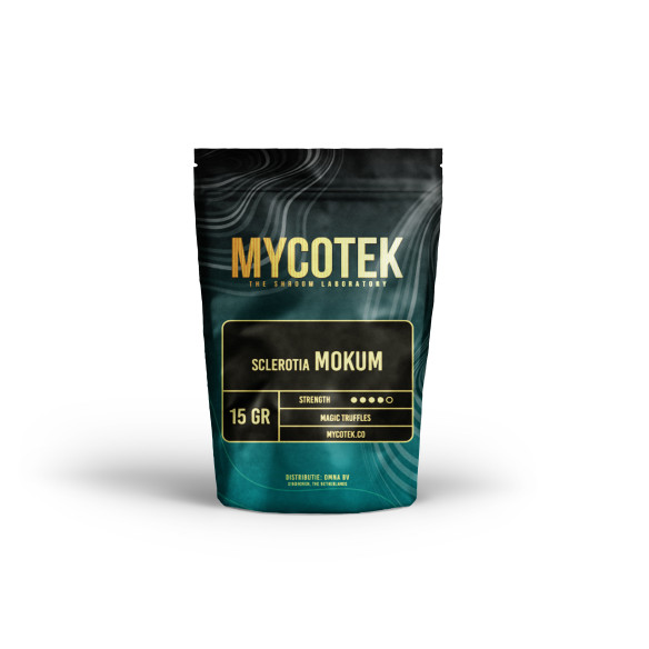 Champignon Magique - Psilocybe MOKUM - Mycotek Mycotek - 1 Champignon Magique - Psilocybe MOKUM - Mycotek Mycotek - 1