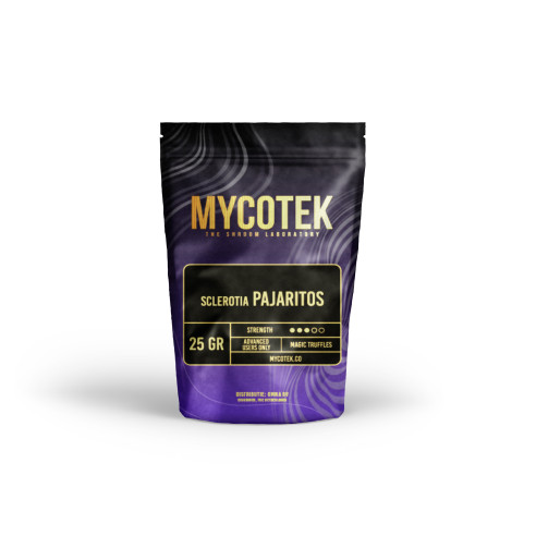 Magic Truffles - Psilocybe PAJARITOS - Mycotek Mycotek - 1