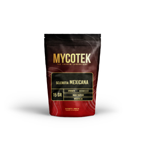 Zauberpilze - Psilocybe MEXICANA - Mycotek Mycotek - 1