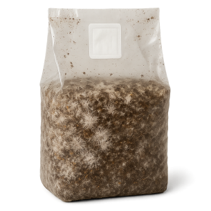 Myco Grow Bag by Mycotek "Hillbilly Pumpkin" - Size M Mycotek - 1