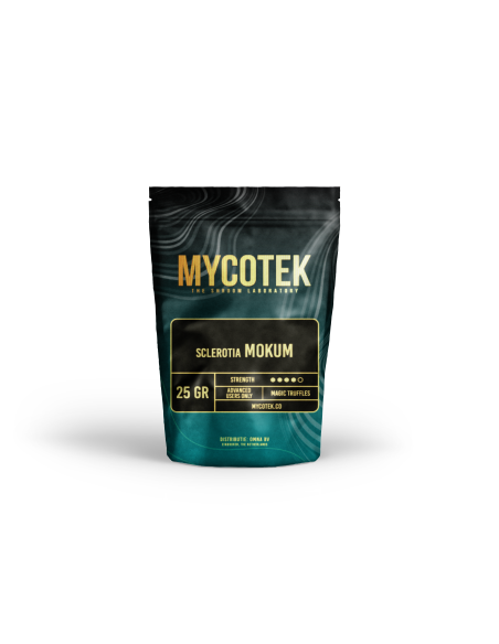 Magic Truffles - Psilocybe MOKUM - Mycotek