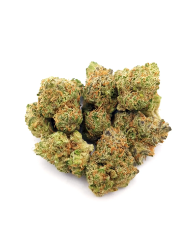 Just Seeds - Watermelon Zkittlez [FEM]