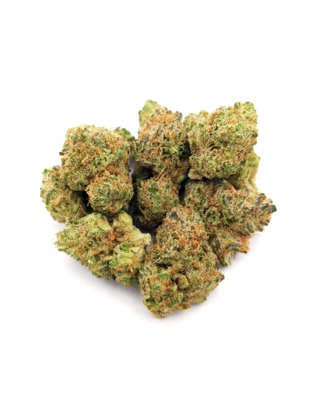 Just Seeds - Watermelon Zkittlez [FEM]