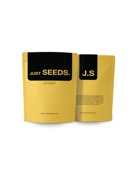 Just Seeds - BLUEBERRY [AUTO]