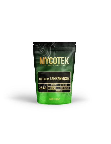 Magic Truffles - Psilocybe TAMPANENSIS - Mycotek