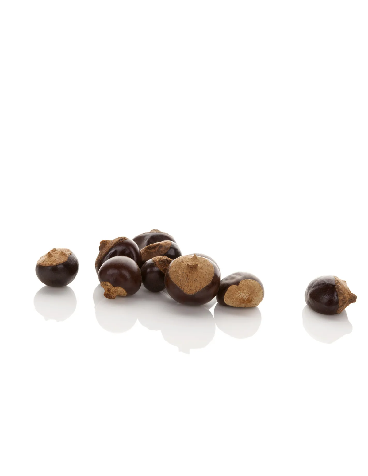 Guarana - Paullinia cupana