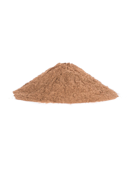 Kola nut - Cola nitida