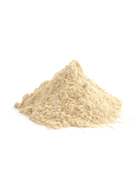 Ashwagandha - Withania somnifera