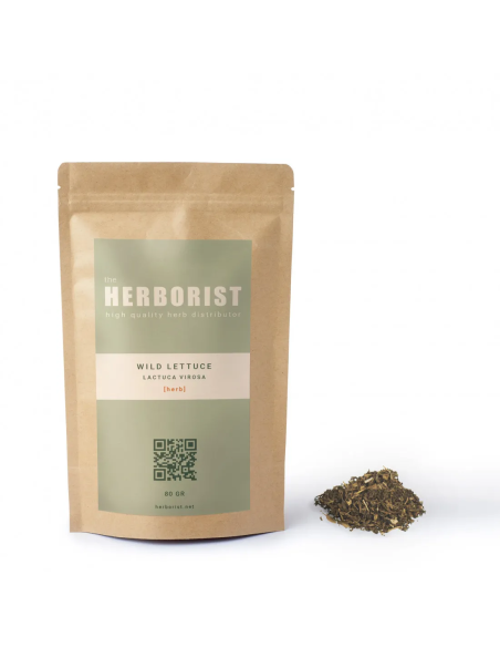 Wild lettuce - Lactuca virosa