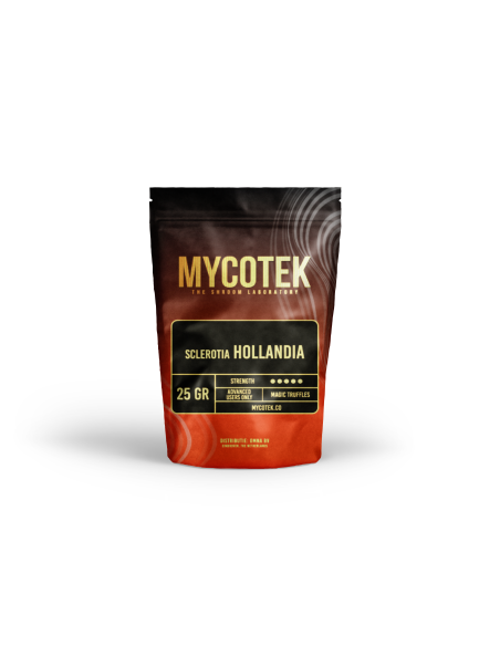 Magic Truffles - Psilocybe HOLLANDIA - Mycotek