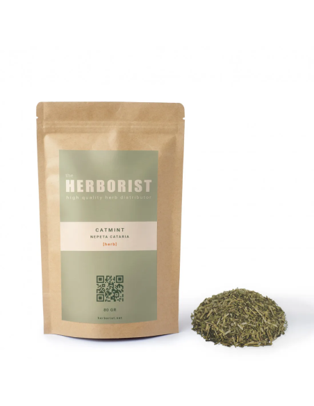 Catmint - Nepeta cataria