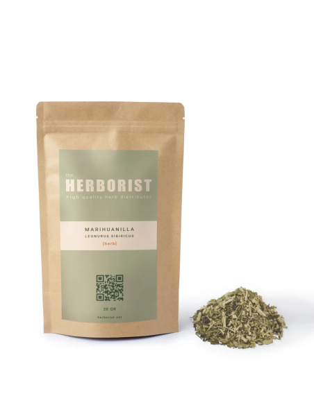 Marihuanilla - Leonurus sibiricus