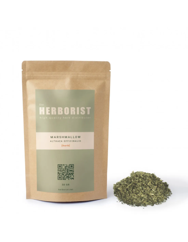 Marshmallow - Althaea officinalis