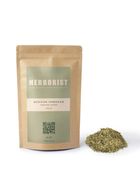 Mexican tarragon - Tagetes lucida