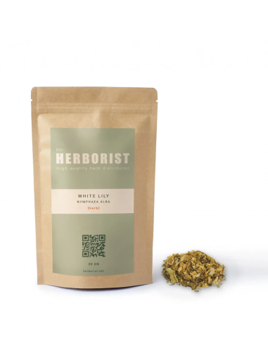 White Lily - Nymphaea alba