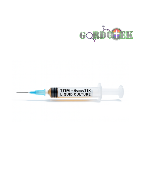 TTBVI – Liquid Culture – Gordotek