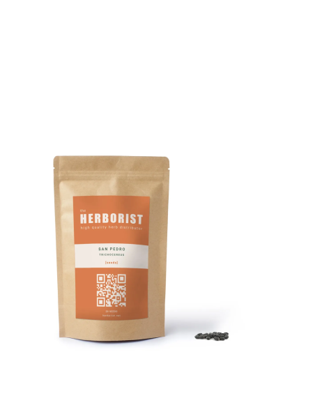 San Pedro - Trichocereus pachanoi