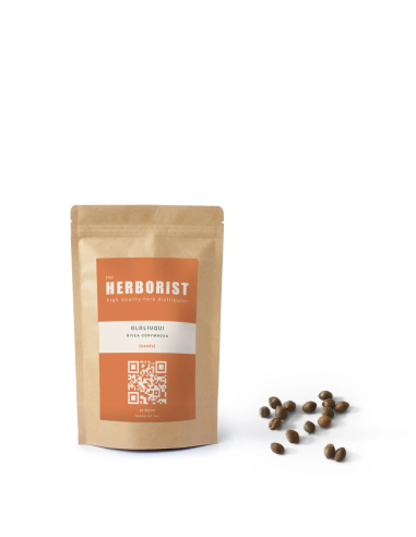 Ololiuqui - Rivea corymbosa