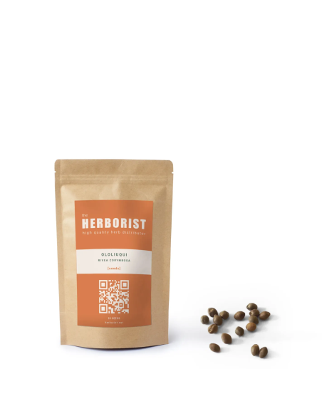 Ololiuqui - Rivea corymbosa