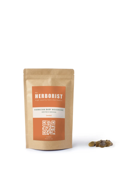 Hawaiian Baby Woodrose - Argyreia nervosa