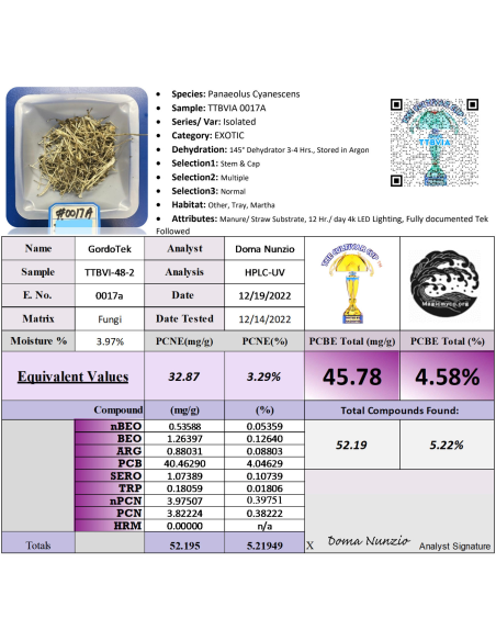 TTBVI – Liquid Culture – Gordotek