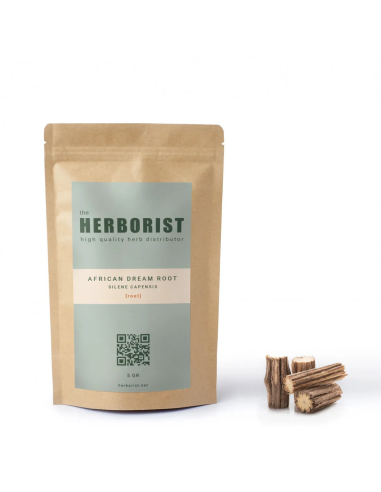 African dream root - Silene capensis