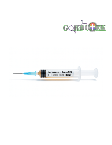 Natalensis – Liquid Culture – Gordotek