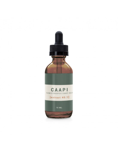 Caapi - Banisteriopsis caapi Red Tincture