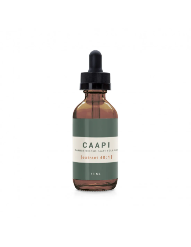 Caapi - Banisteriopsis caapi Yellow Tincture