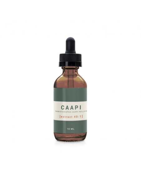 Caapi - Banisteriopsis caapi Yellow Tincture
