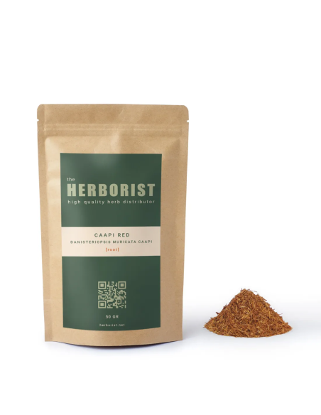 Caapi red - Banisteriopsis muricata caapi