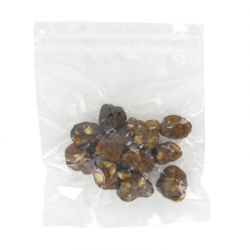Magic Truffles - Psilocybe MEXICANA - Mycotek Mycotek - 7