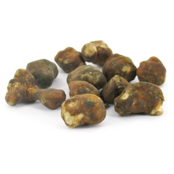 Magic Truffles - Psilocybe MEXICANA - Mycotek Mycotek - 9 Magic Truffles - Psilocybe MEXICANA - Mycotek Mycotek - 9