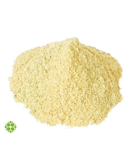 Kanna - Sceletium tortuosum - extract 10x