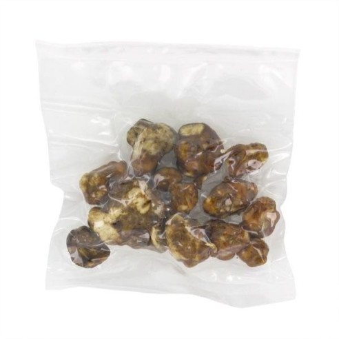 Champignon Magique - Psilocybe MOKUM - Mycotek Mycotek - 4