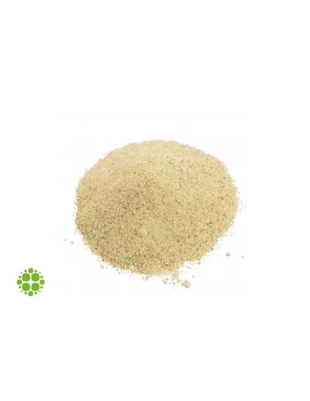 Kanna - Sceletium tortuosum - ET2 extract