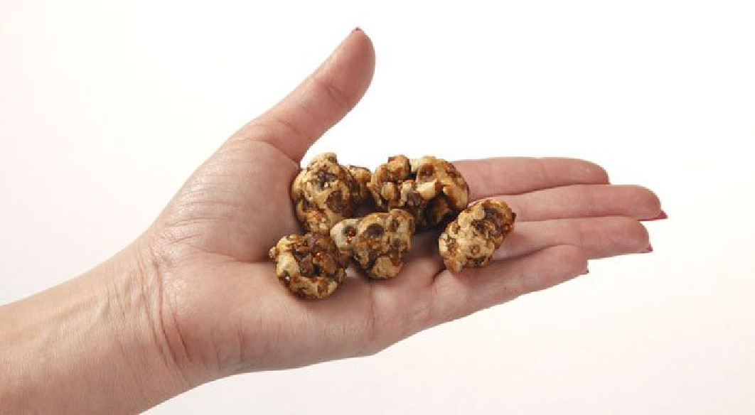 Magic Truffels - Psilocybe TAMPANENSIS - Mycotek Mycotek - 3