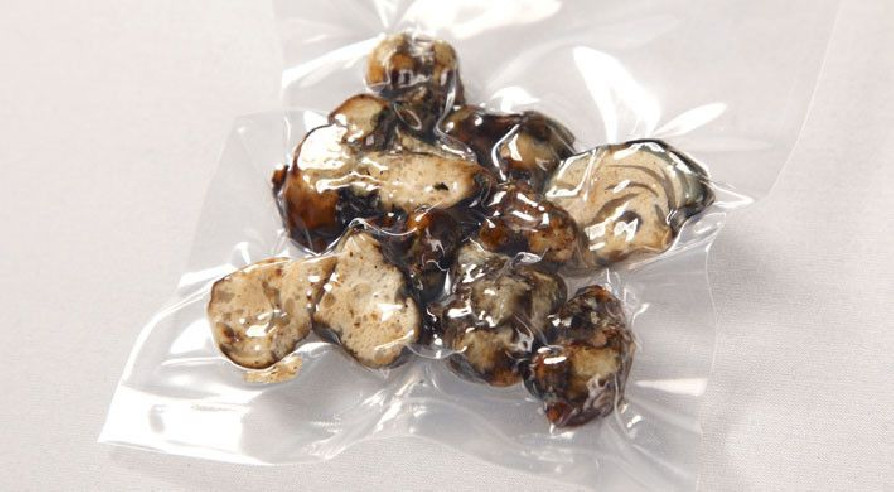 Champignon Magique - Psilocybe ATLANTIS - Mycotek Mycotek - 7