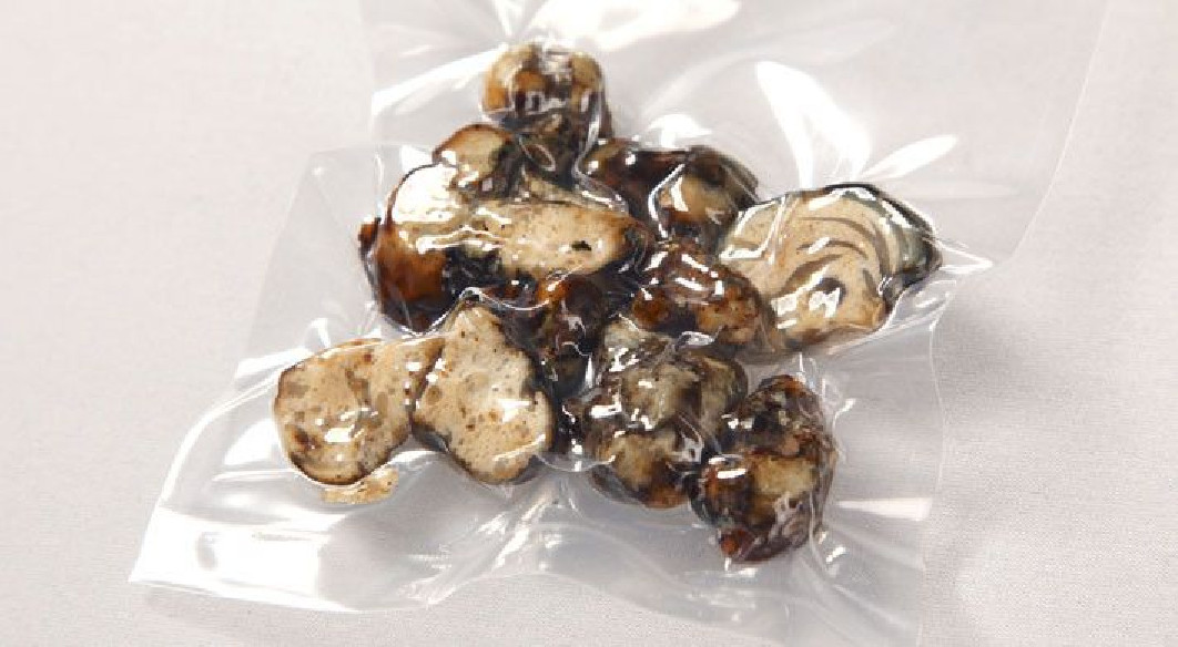 Champignon Magique - Psilocybe ATLANTIS - Mycotek Mycotek - 8