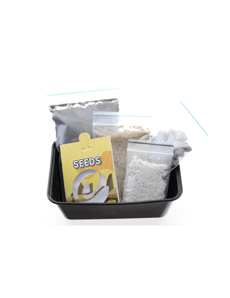 Fricii - Lophophora fricii